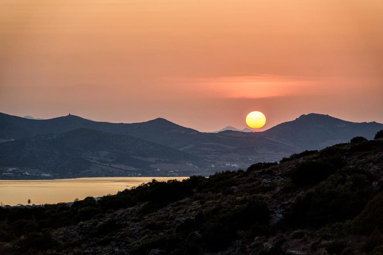 Paros Villa Blue Senses Alikí Eksteriør bilde